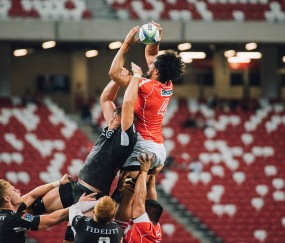 开云在线直播-赛道上的红与绿，塞恩斯刷新纪录，法拉利碾压阿斯顿马丁