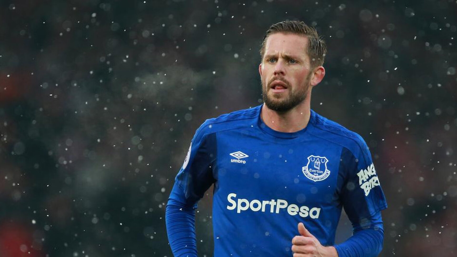 孤星崛起，皮亚斯特里独扛大旗，红牛青年军惊天逆转威廉姆斯王朝